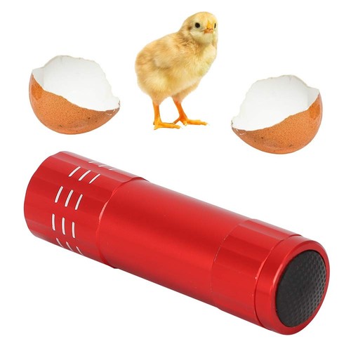 Pssopp egg candler - egg, light
